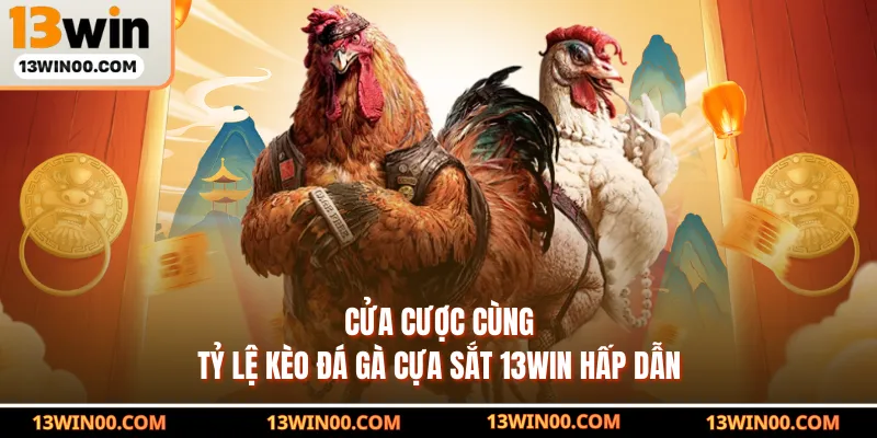               Cửa cược cùng tỷ lệ kèo đá gà cựa sắt 13WIN hấp dẫn