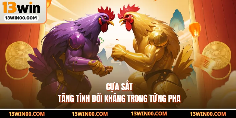 Cựa sắt tăng tính đối kháng trong từng pha