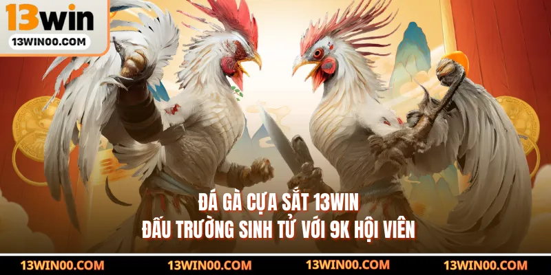 Đá Gà Cựa Sắt 13WIN - Đấu Trường Sinh Tử Với 9k Hội Viên