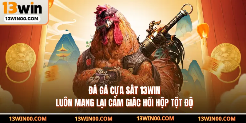        đá gà cựa sắt 13WIN luôn mang lại cảm giác hồi hộp tột độ
