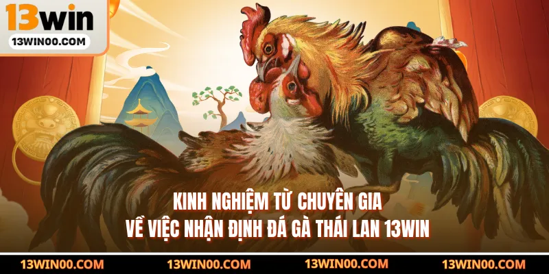 Kinh nghiệm từ chuyên gia về việc nhận định đá gà Thái Lan 13WIN
