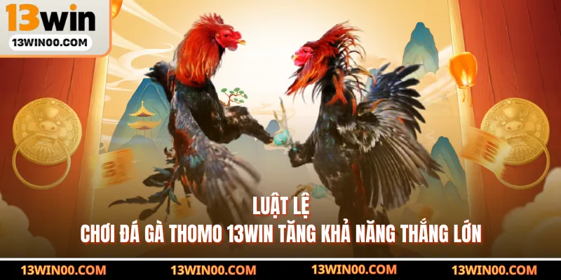 Luật lệ chơi đá gà thomo 13WIN tăng khả năng thắng lớn